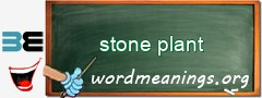 WordMeaning blackboard for stone plant